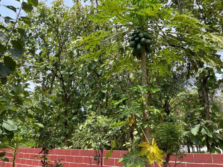 'Vrindavan' In Heritage City Mysuru 외부 사진